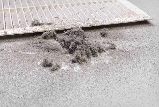 Best HVAC Duct Inspection Services  in Cape Carteret, NC