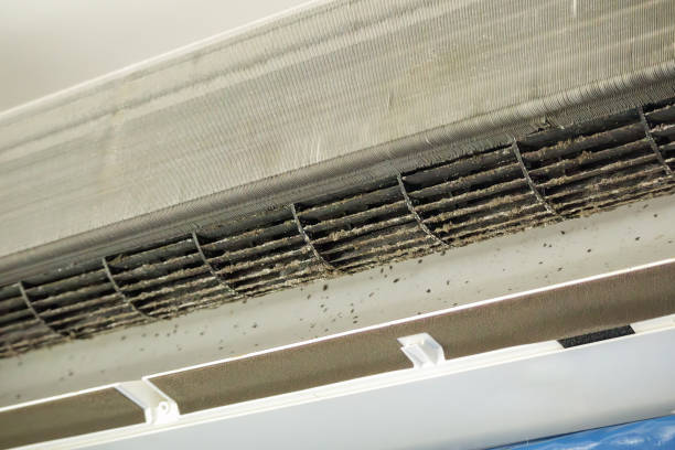 Best Ventilation Cleaning Services  in Cape Carteret, NC